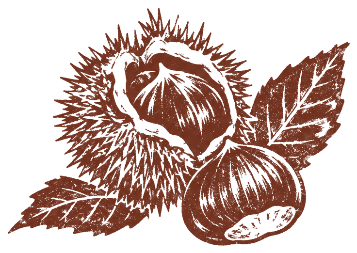 châtaignes