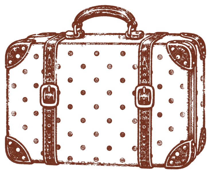 valise