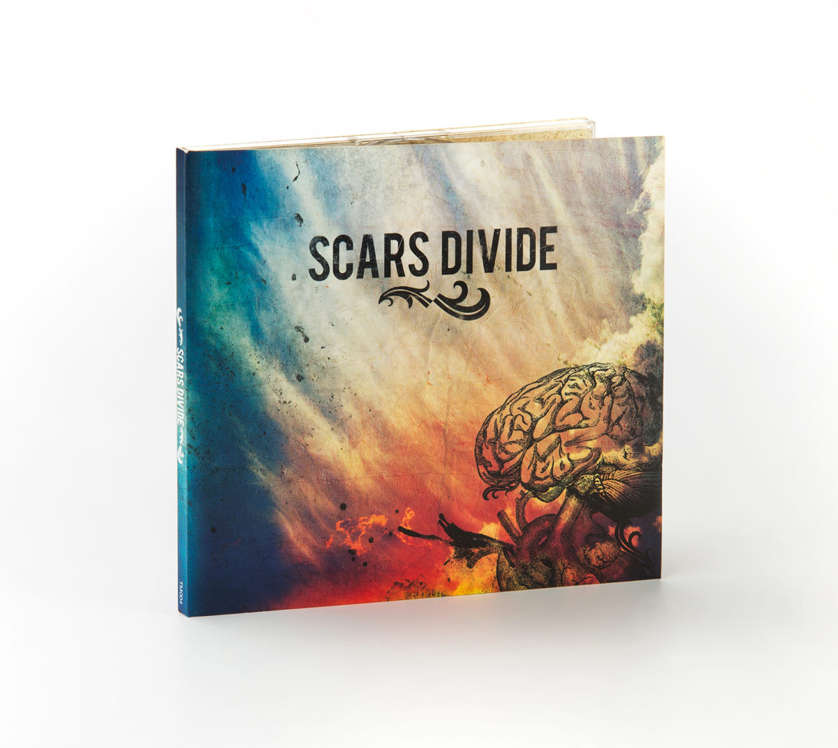 Scars Divide